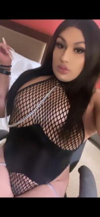 2094987216, transgender escort, San Diego